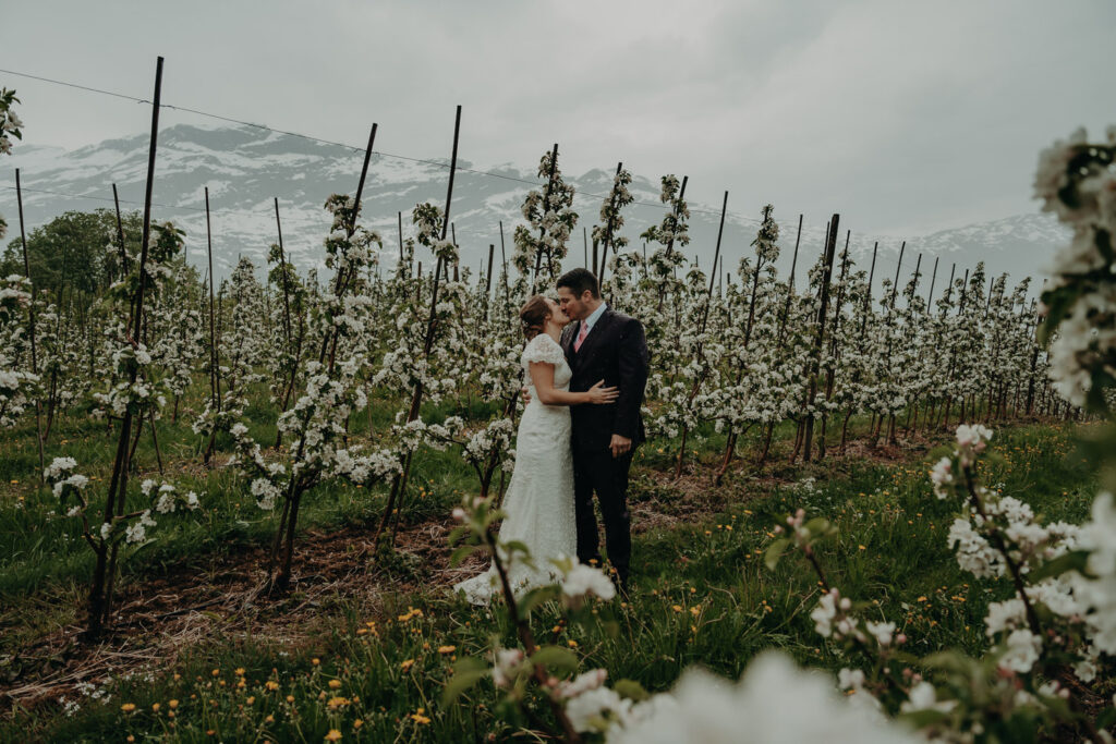 Wedding couple kissing among thousands of blossoming fruit trees in Hardanger Norway on their elopement day.